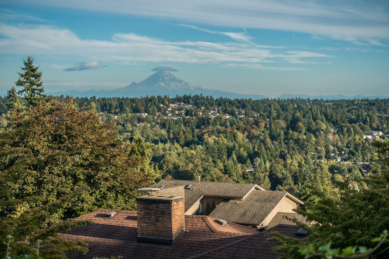 We make moving fast, stress-free, and simple for families and businesses across Kent, WA