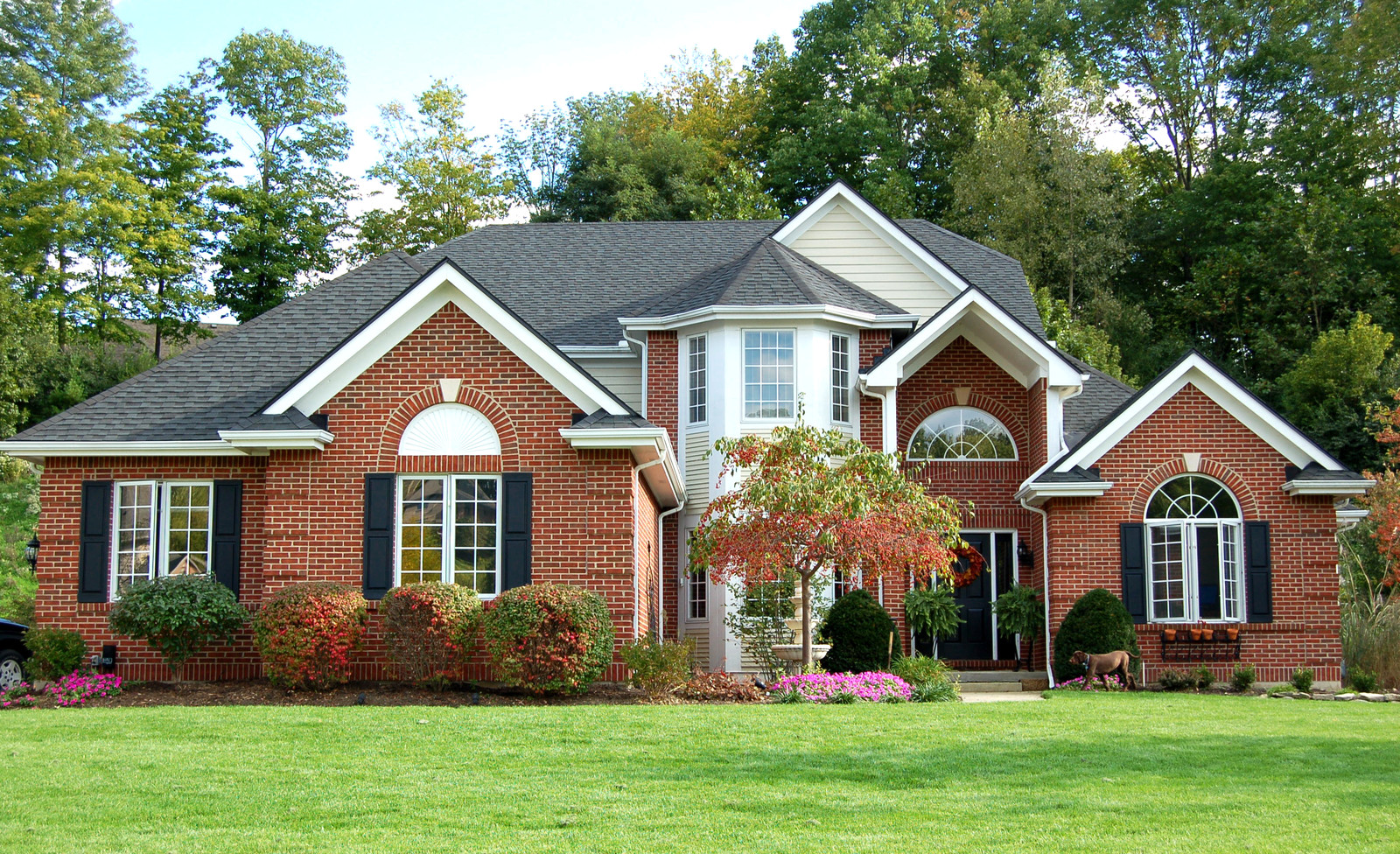 Making moves simple, fast, and stress-free for families and businesses across West Bellevue, WA